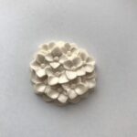 紫陽花