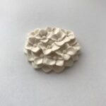 紫陽花