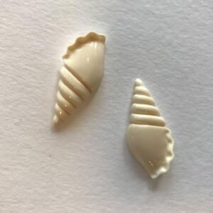 巻き貝