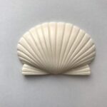 ワイド シェル 大