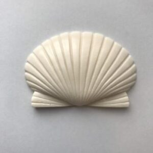 ワイド シェル 大