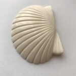 ワイド シェル 大