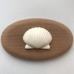 ワイド シェル 小